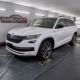 Skoda Kodiaq 2.0 TSI 190 PS / 320 NM