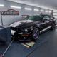 Ford Mustang Shelby 500 500 PS / 650 NM